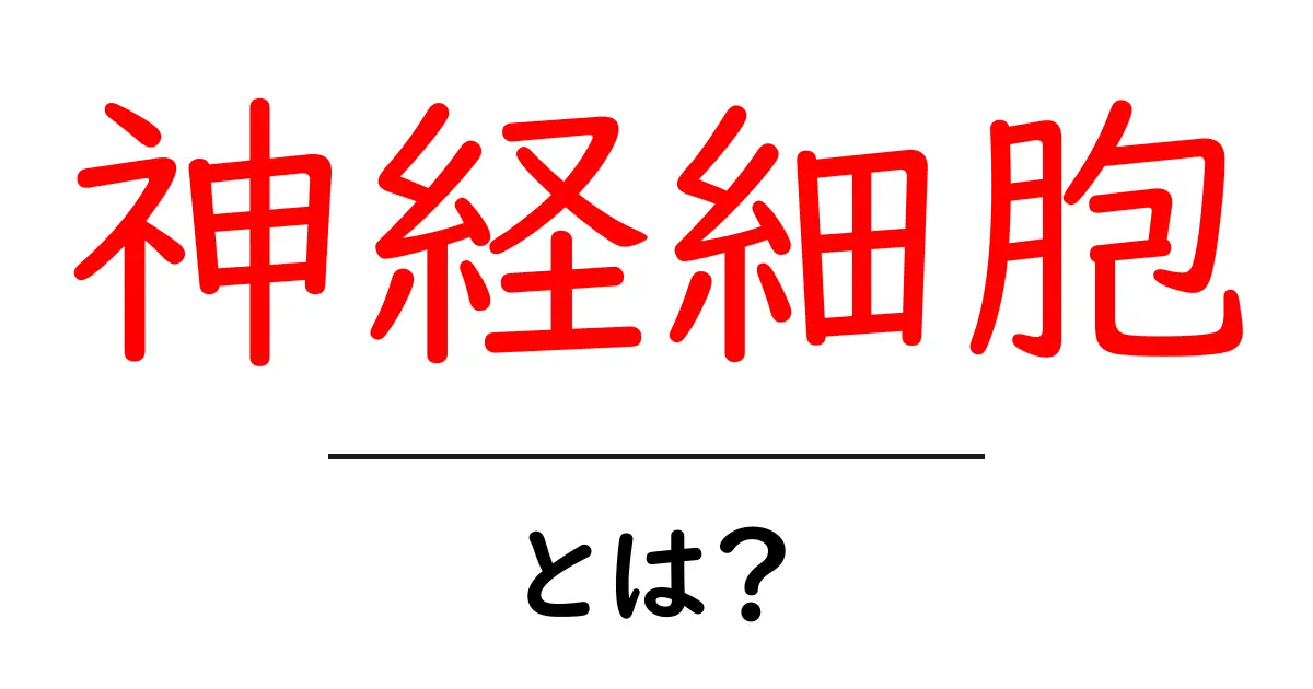 神経細胞・とは？初心者にもやさしく解説する基礎ガイド共起語・同意語・対義語も併せて解説！
