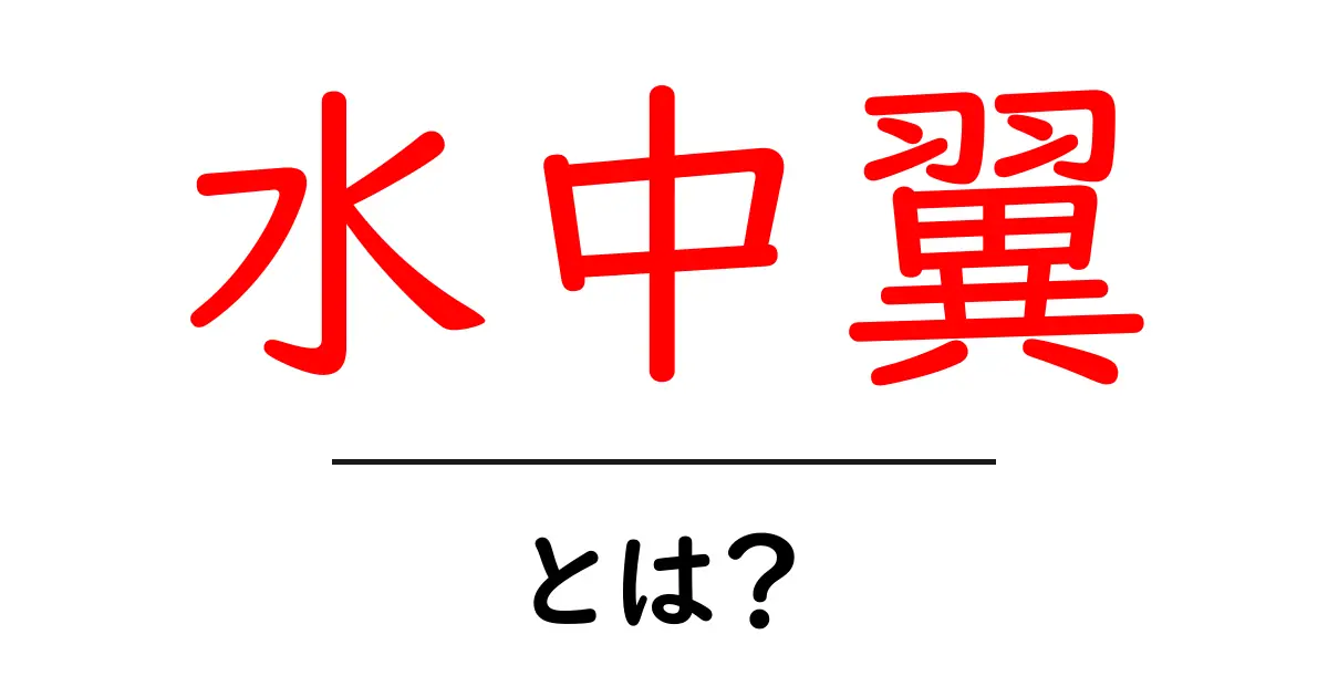水中翼とは？初心者にもわかる水中翼のしくみと魅力を解説共起語・同意語・対義語も併せて解説！