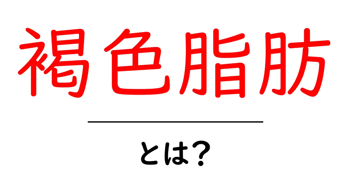 褐色脂肪・とは？初心者でも分かる仕組みと健康効果の基本共起語・同意語・対義語も併せて解説！