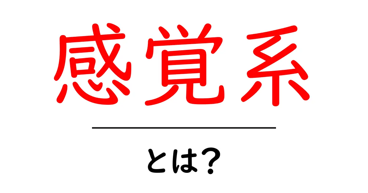 感覚系とは？初心者向けにやさしく解説する基礎ガイド共起語・同意語・対義語も併せて解説！