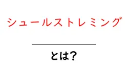 シュールストレミング・とは？初心者でも分かる味の秘密と食べ方ガイド共起語・同意語・対義語も併せて解説！