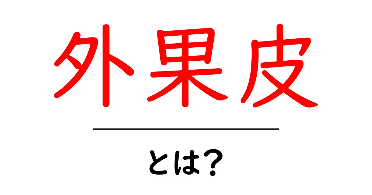 外果皮とは？果物の外側をやさしく解説共起語・同意語・対義語も併せて解説！
