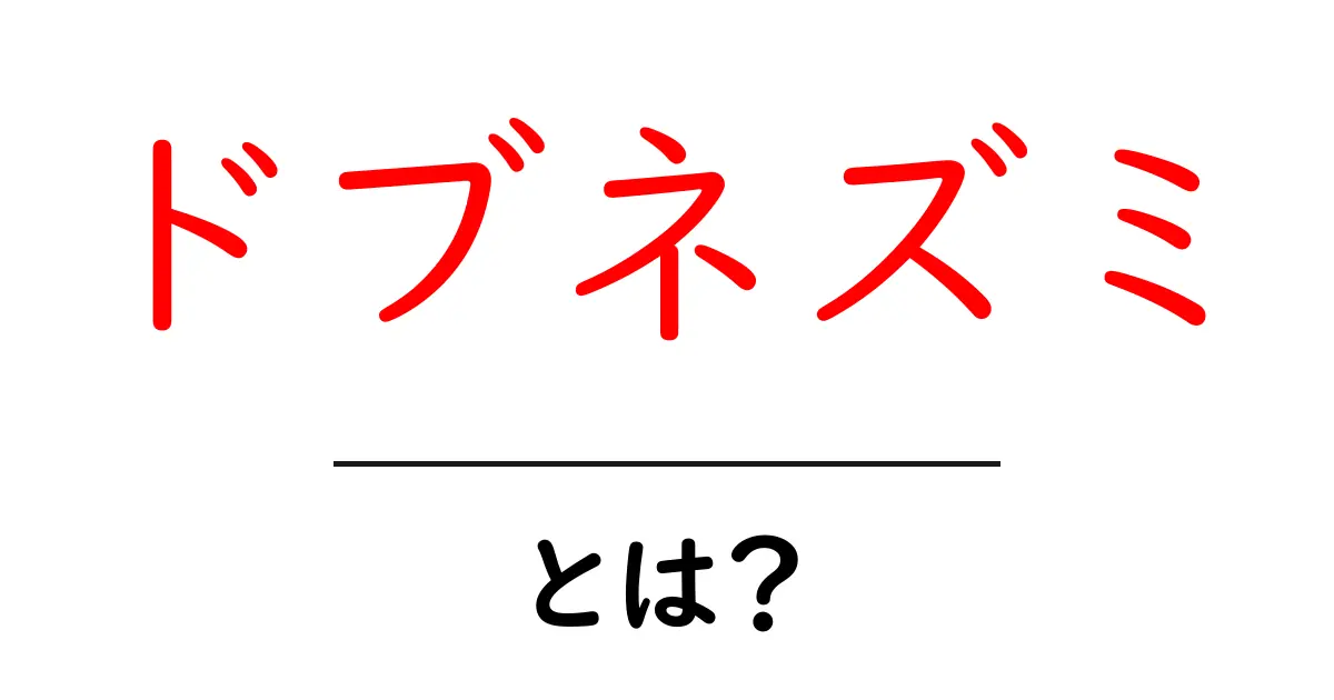 ドブネズミとは？初心者にも分かる基本情報と日常生活での対策ガイド共起語・同意語・対義語も併せて解説！