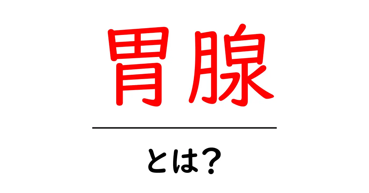 胃腺とは？胃腺のしくみと役割をやさしく解説共起語・同意語・対義語も併せて解説！