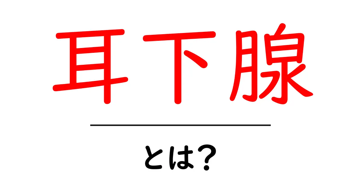 耳下腺・とは?初心者向けにやさしく解説する基礎ガイド共起語・同意語・対義語も併せて解説!