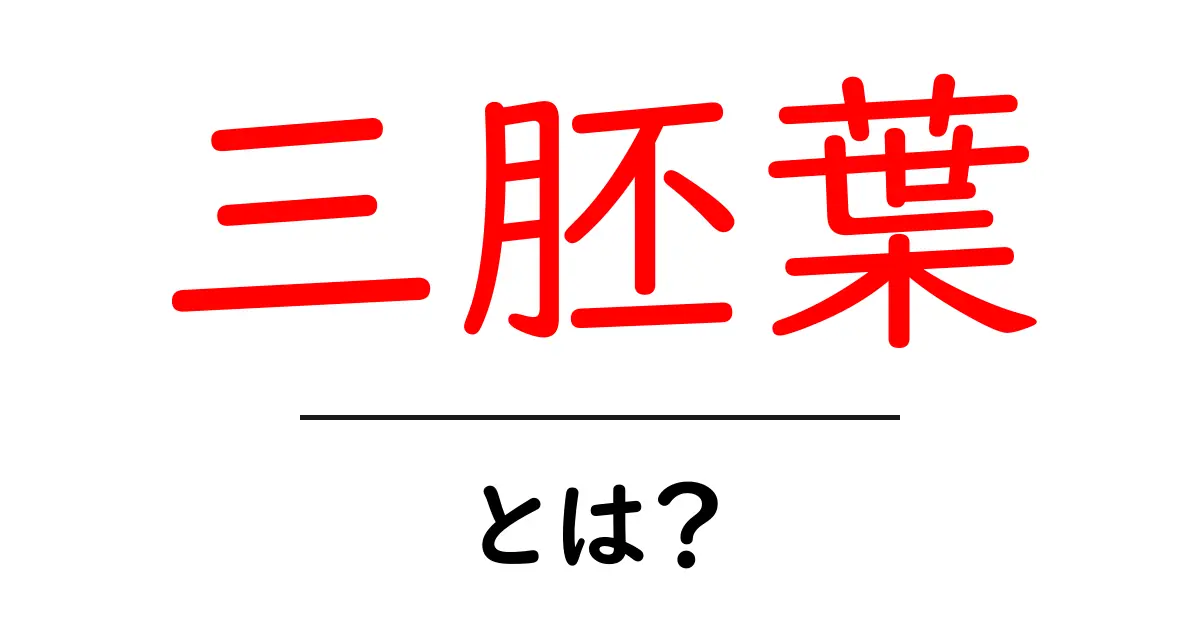 三胚葉・とは？初心者でもわかる三胚葉の基礎と役割を徹底解説共起語・同意語・対義語も併せて解説！