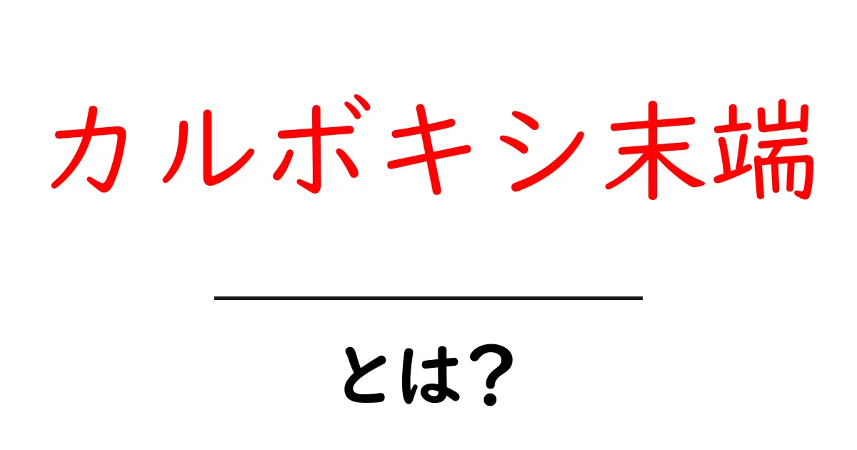 カルボキシ末端とは?初心者向けにわかりやすく解説共起語・同意語・対義語も併せて解説!