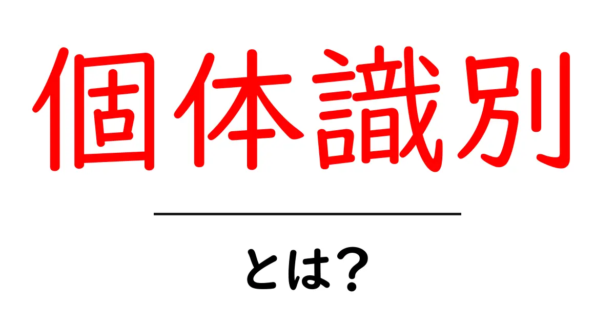 個体識別とは？初心者向けガイド：個体識別のしくみと実例共起語・同意語・対義語も併せて解説！