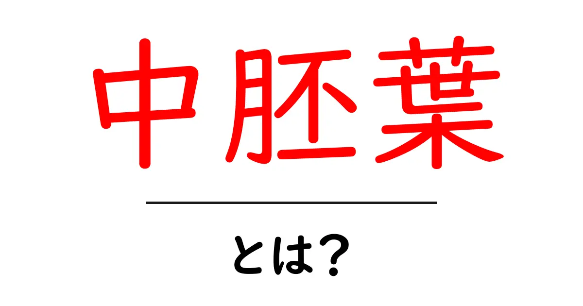 中胚葉・とは？ 発生学の入り口としての基礎解説共起語・同意語・対義語も併せて解説！