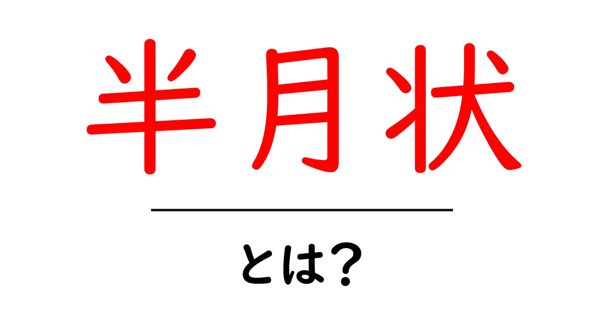 半月状・とは？初心者にもわかる意味と使い方ガイド共起語・同意語・対義語も併せて解説！