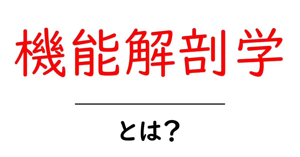 機能解剖学・とは？体の仕組みをやさしく解説する入門ガイド共起語・同意語・対義語も併せて解説！