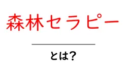 森林セラピーとは？自然と心を整える癒しの方法を詳しく解説共起語・同意語・対義語も併せて解説！