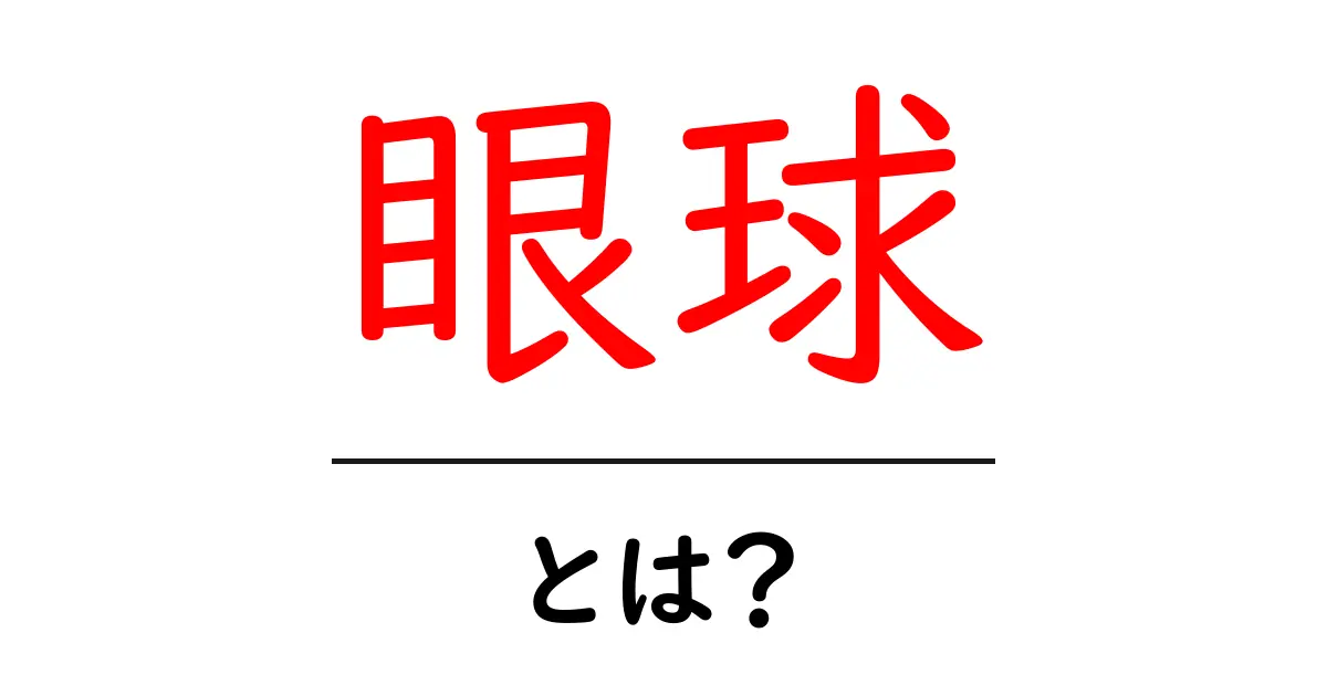 眼球・とは？初心者でも分かる、目の仕組みを徹底解説共起語・同意語・対義語も併せて解説！