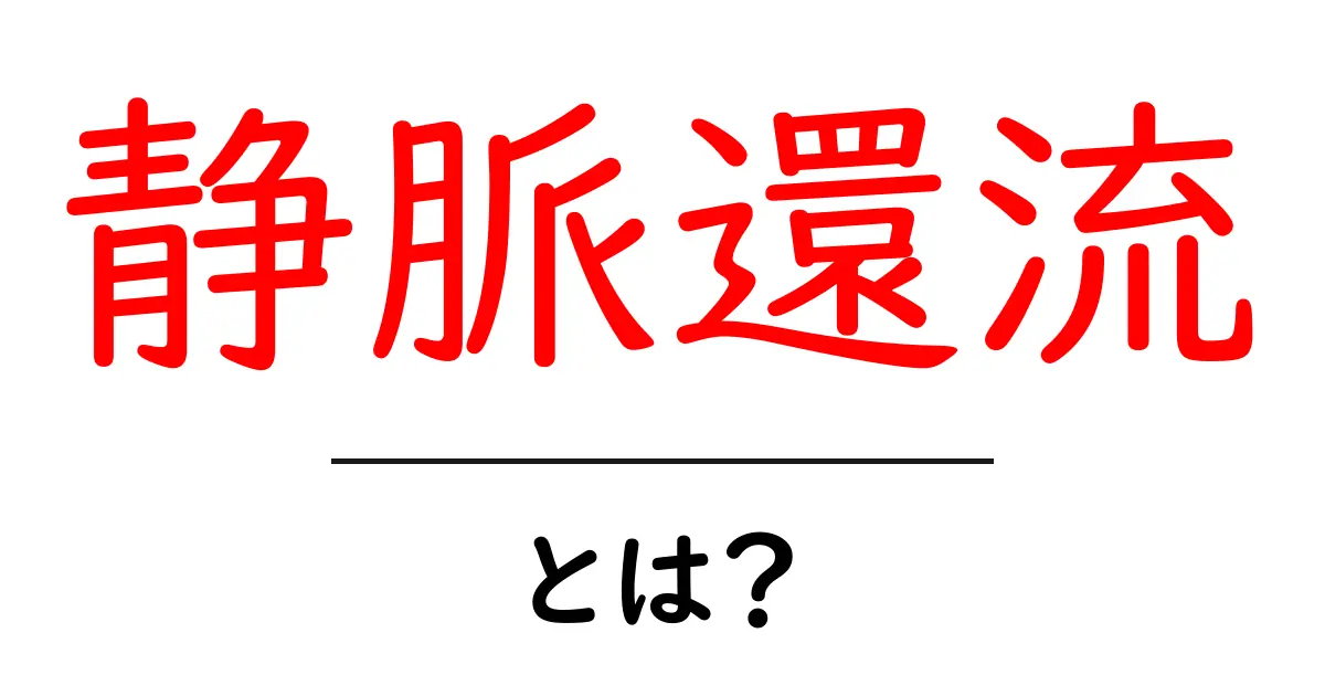 静脈還流とは？体の中でどう動くのかをやさしく解説共起語・同意語・対義語も併せて解説！
