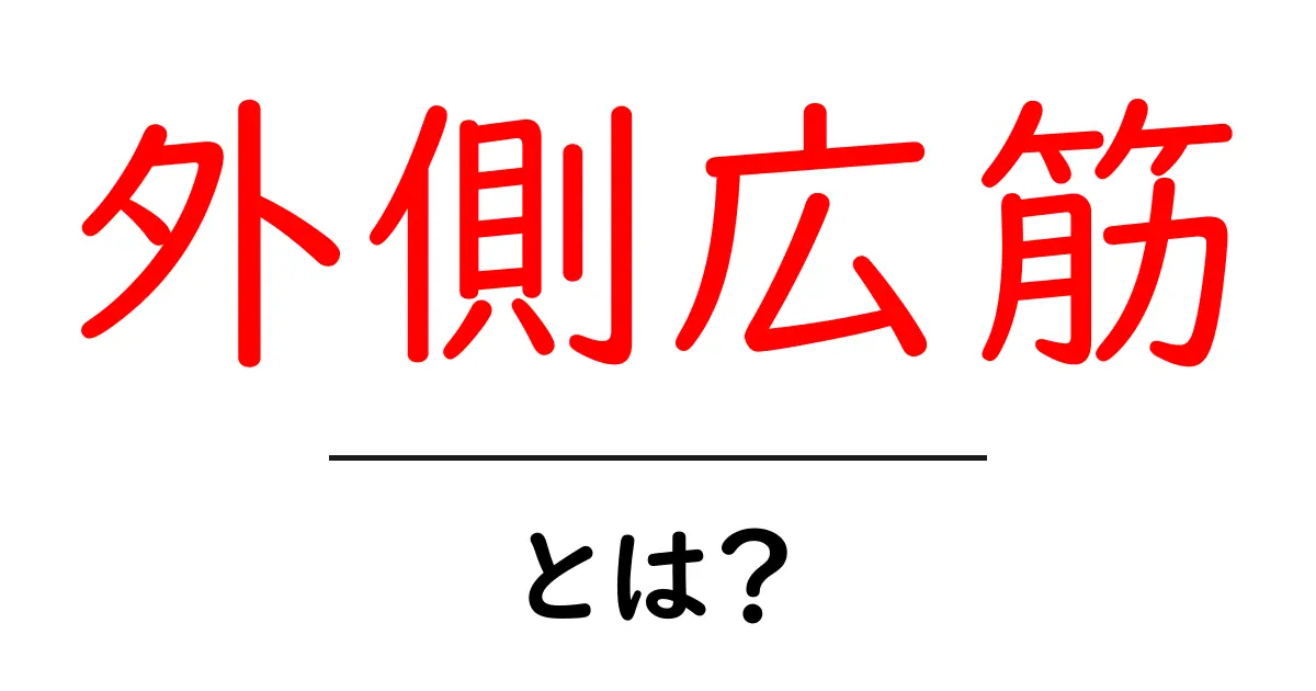 外側広筋とは?初心者にもわかる基本解説と役割共起語・同意語・対義語も併せて解説!