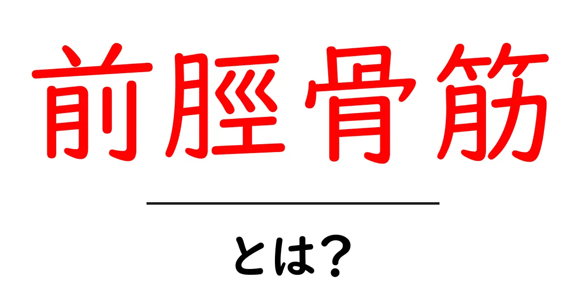 前脛骨筋とは?初心者にもわかる基本解説とケアのコツ共起語・同意語・対義語も併せて解説!