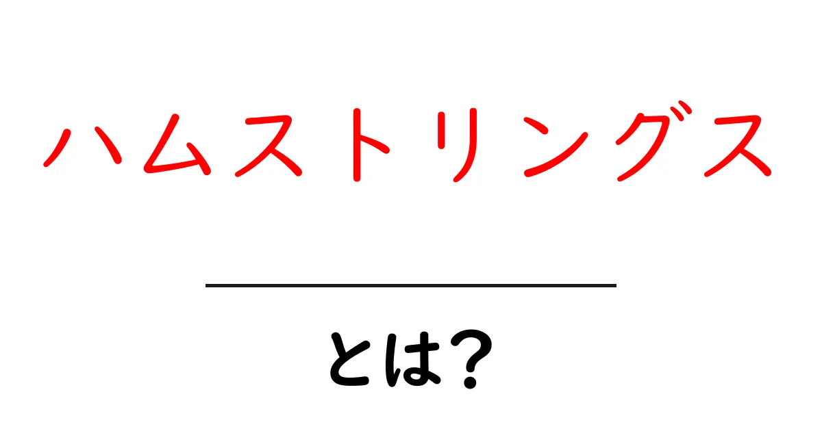 ハムストリングスとは？初心者が押さえるべき基礎とケアのポイント共起語・同意語・対義語も併せて解説！
