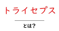 トライセプス・とは？初心者向けの基礎解説と効果的なトレーニングのコツ共起語・同意語・対義語も併せて解説！