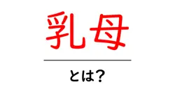 乳母とは？歴史と現代の意味をやさしく解説する初心者向けガイド共起語・同意語・対義語も併せて解説！