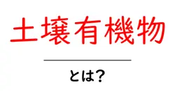 土壌有機物・とは？初心者でもすぐわかる土づくりの基本共起語・同意語・対義語も併せて解説！