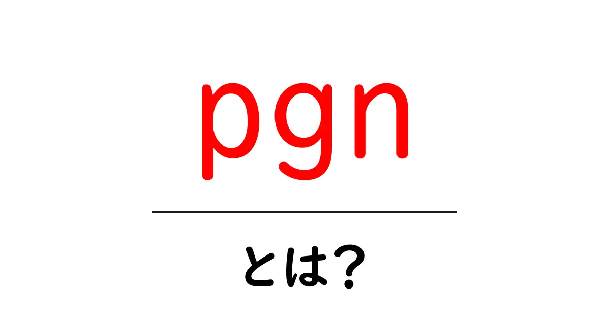 pgnとは？初心者向けに解説するPGNの基礎と使い方共起語・同意語・対義語も併せて解説！