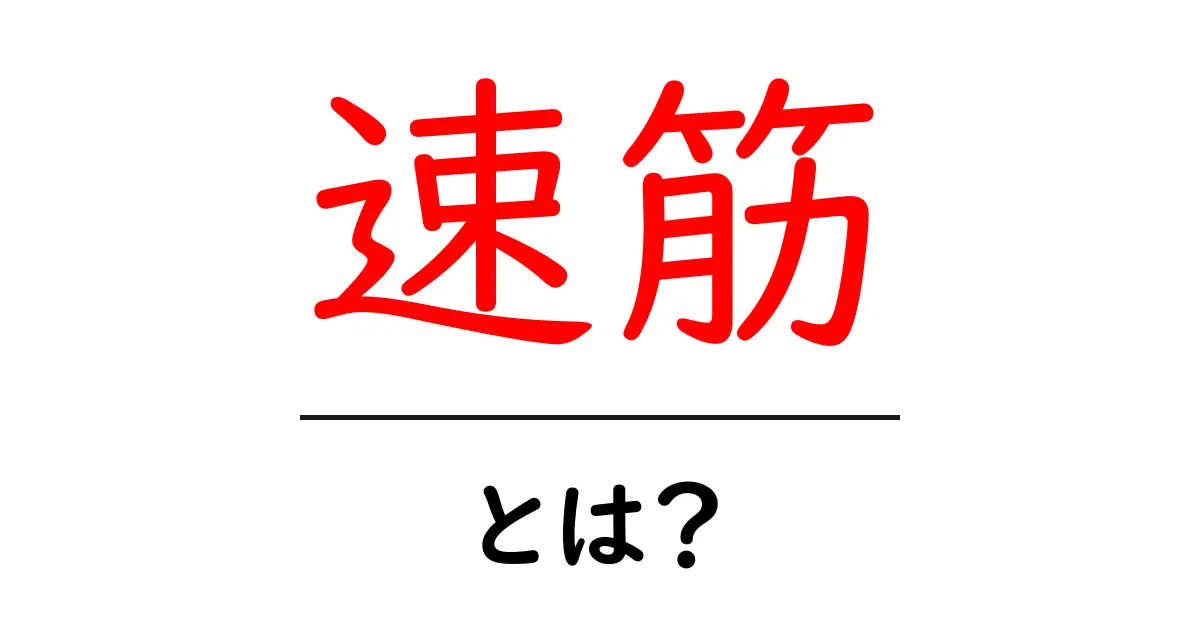 速筋・とは？初心者にもわかる速筋の基礎と鍛え方ガイド共起語・同意語・対義語も併せて解説！