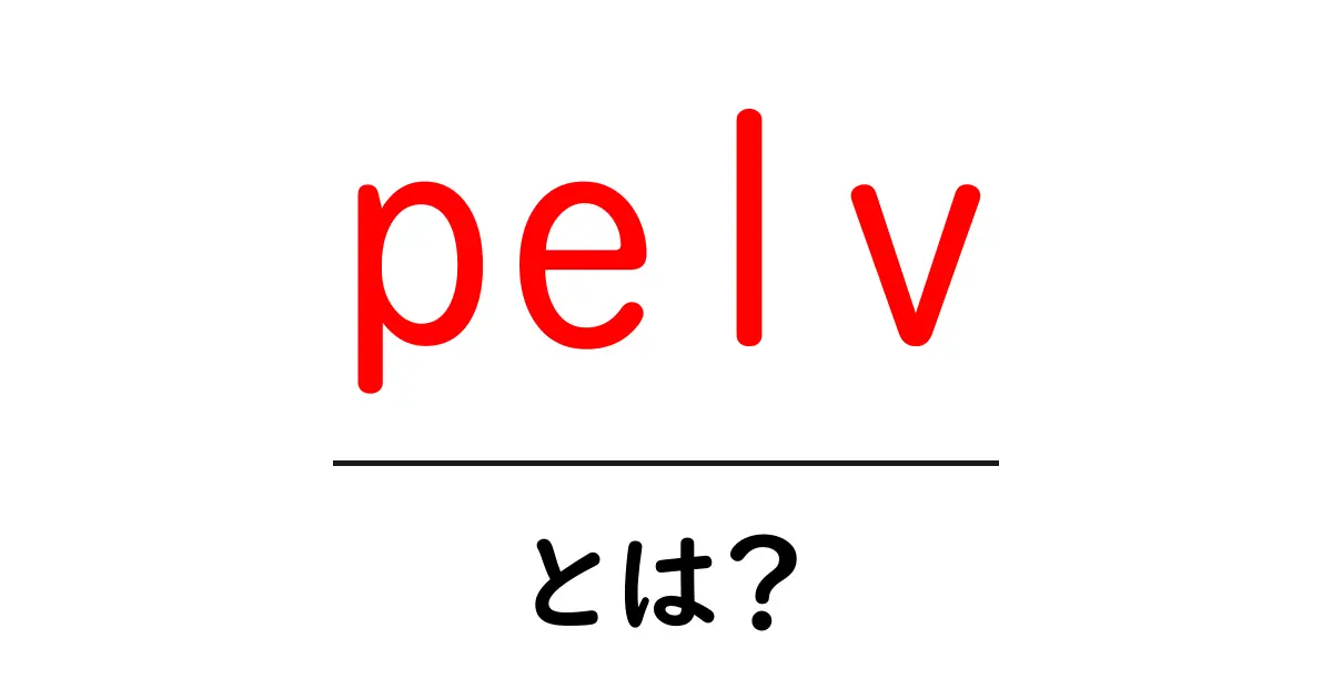 pelvとは?初心者にもわかる意味と使い方ガイド共起語・同意語・対義語も併せて解説!