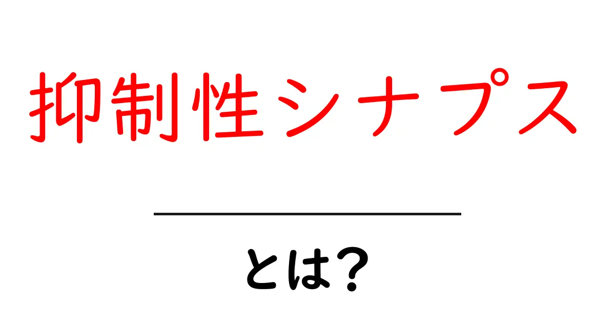 抑制性シナプスとは？仕組みと役割をやさしく解説共起語・同意語・対義語も併せて解説！
