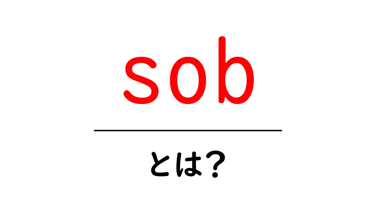 sobとは？初心者でも分かる使い方と例文ガイド共起語・同意語・対義語も併せて解説！