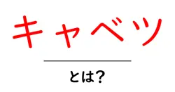 キャベツ・とは?初心者でもすぐ使える基本と選び方・保存術共起語・同意語・対義語も併せて解説!