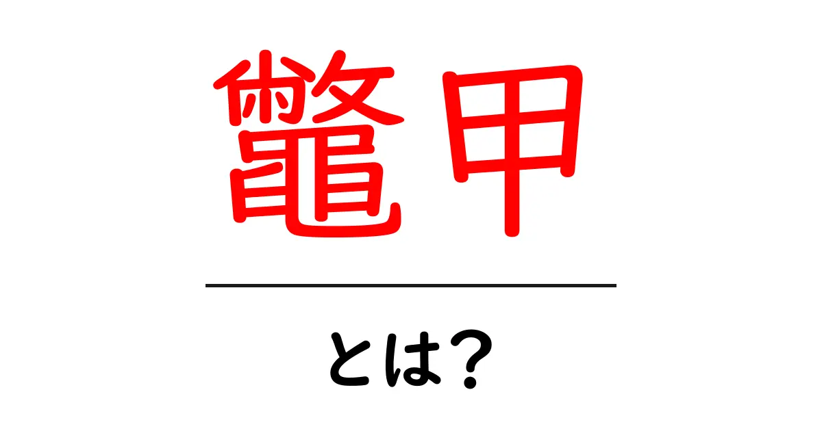 鼈甲・とは?初心者にもわかる基礎解説と歴史共起語・同意語・対義語も併せて解説!