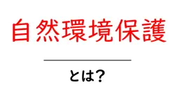 自然環境保護とは？初心者にも分かる基本と日常での実践共起語・同意語・対義語も併せて解説！