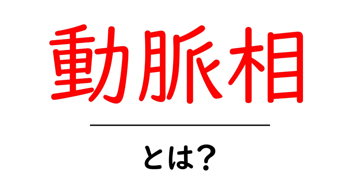 動脈相・とは？初心者にもわかる解説と図解共起語・同意語・対義語も併せて解説！