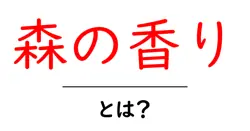 森の香りとは?初心者にもわかるガイド:森の香りを体で感じる方法共起語・同意語・対義語も併せて解説!