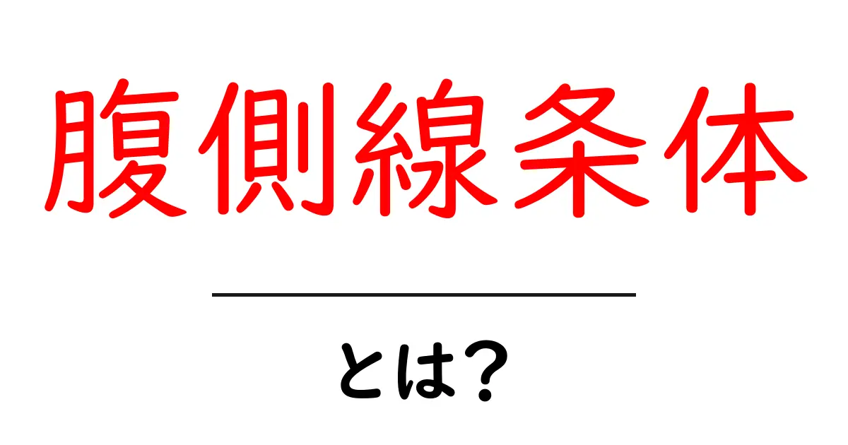 腹側線条体とは？脳の報酬と動機づけの仕組みをわかりやすく解説共起語・同意語・対義語も併せて解説！