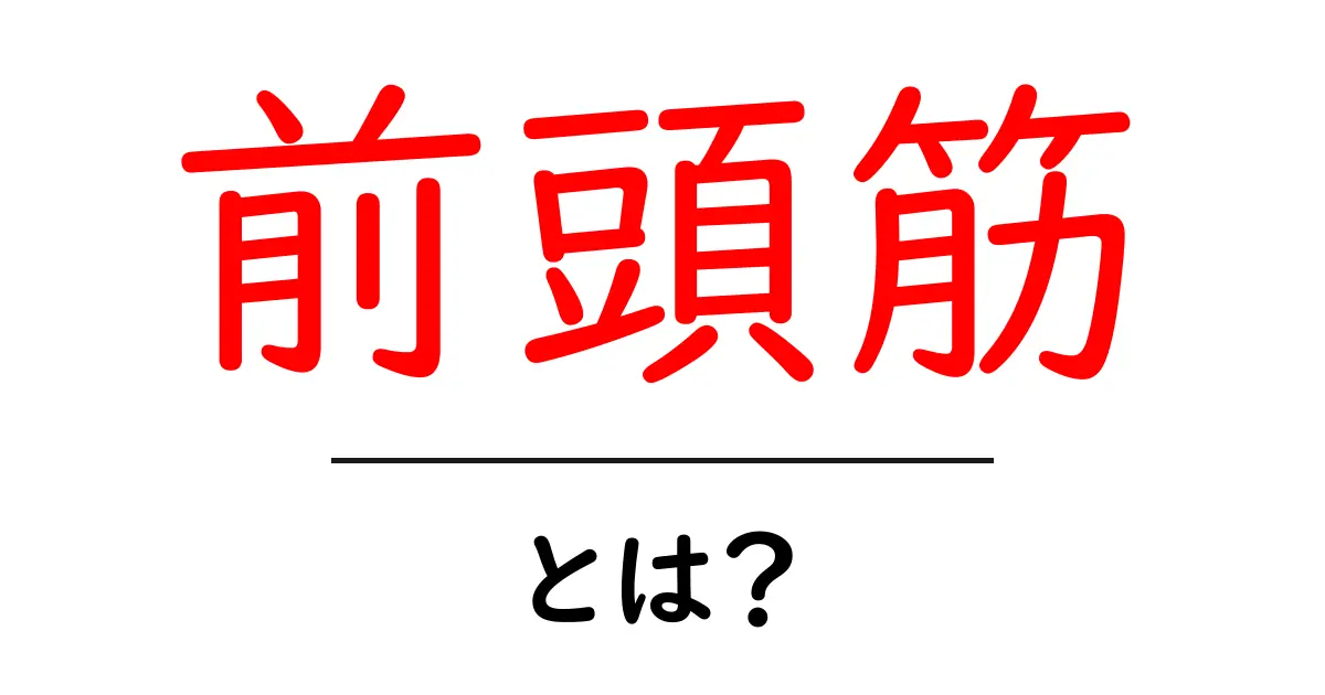 前頭筋・とは？初心者向けにわかりやすく解説する基礎ガイド共起語・同意語・対義語も併せて解説！