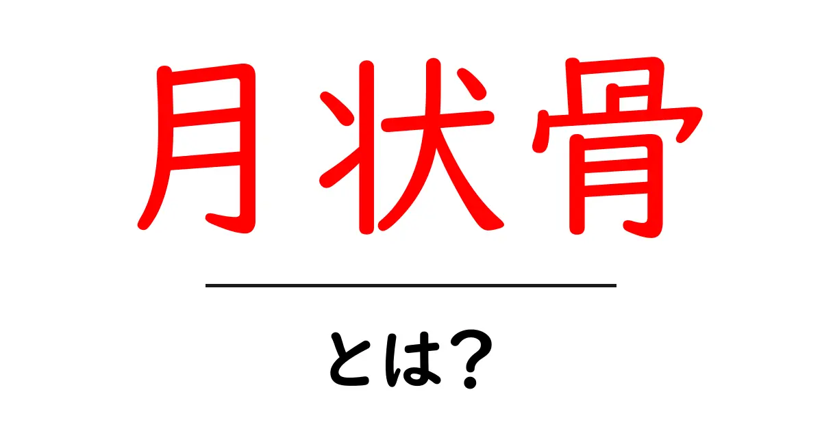月状骨とは？腕の関節を支える小さな骨の基礎をやさしく解説共起語・同意語・対義語も併せて解説！