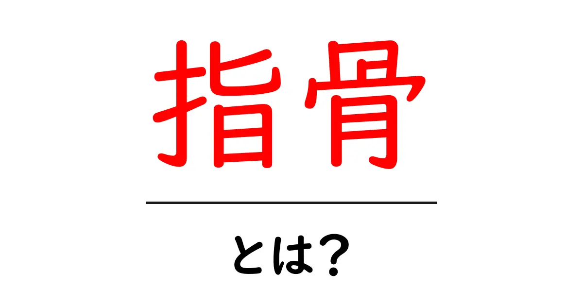 指骨・とは？を徹底解説！指の骨の基礎と役割をわかりやすく解説共起語・同意語・対義語も併せて解説！
