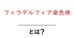 フィラデルフィア染色体とは？病気の原因と仕組みをやさしく解説共起語・同意語・対義語も併せて解説！