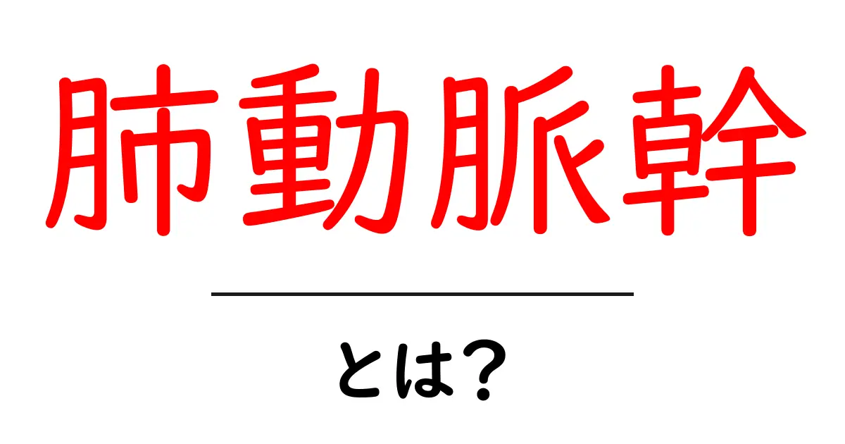 肺動脈幹とは?肺動脈幹の役割としくみをやさしく解説共起語・同意語・対義語も併せて解説!