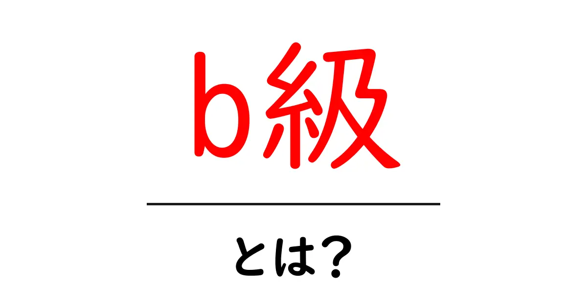 b級・とは?初心者にもわかる解説と使い方ガイド共起語・同意語・対義語も併せて解説!