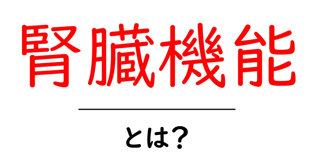 腎臓機能・とは？中学生にもわかる腎臓の役割と大切さ共起語・同意語・対義語も併せて解説！