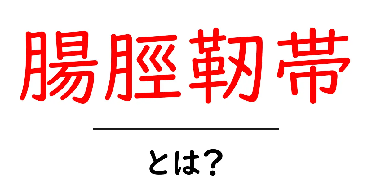 腸脛靭帯・とは?初心者でもわかる基本ガイドと痛みの予防共起語・同意語・対義語も併せて解説!
