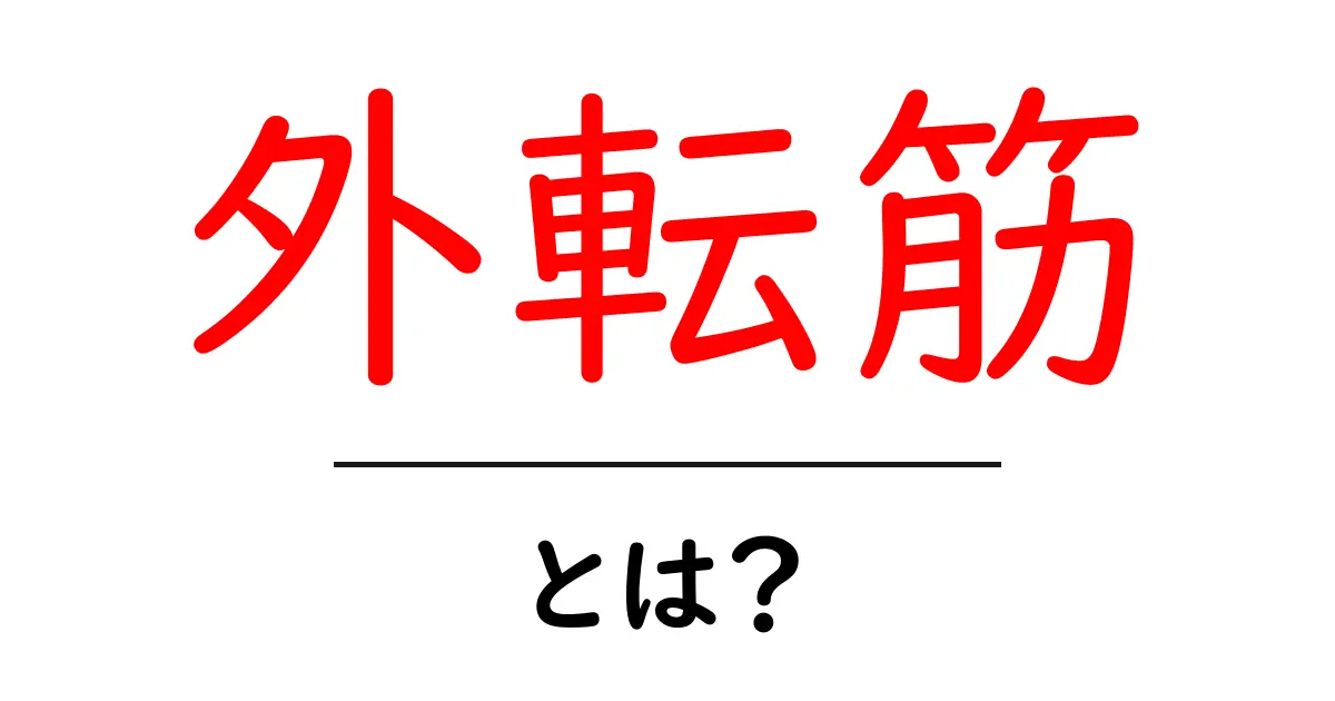 外転筋とは何か詳しく解説—初心者向け基礎ガイドと役割共起語・同意語・対義語も併せて解説！