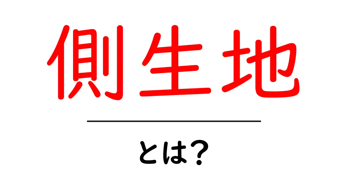側生地・とは？初心者にもわかる基本と使い分けガイド共起語・同意語・対義語も併せて解説！
