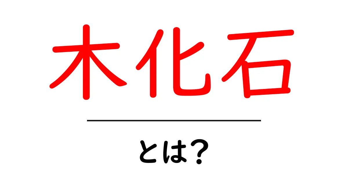 木化石とは木化石とは?初心者でも分かる基本解説共起語・同意語・対義語も併せて解説!