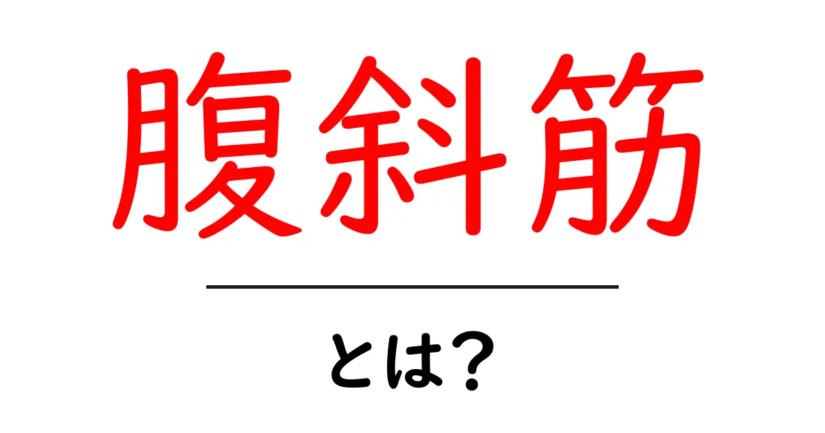 腹斜筋・とは?初心者でもわかる体幹の基本と効果的な鍛え方共起語・同意語・対義語も併せて解説!