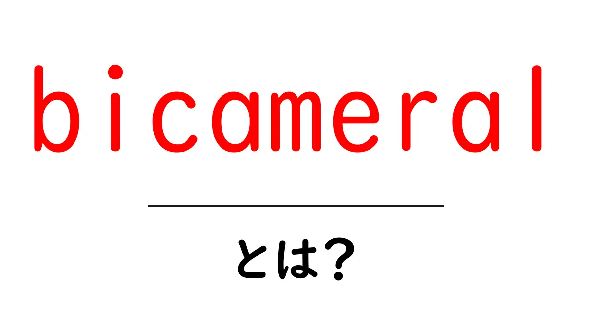 bicameral とは？初心者でもわかる仕組みと実例ガイド共起語・同意語・対義語も併せて解説！