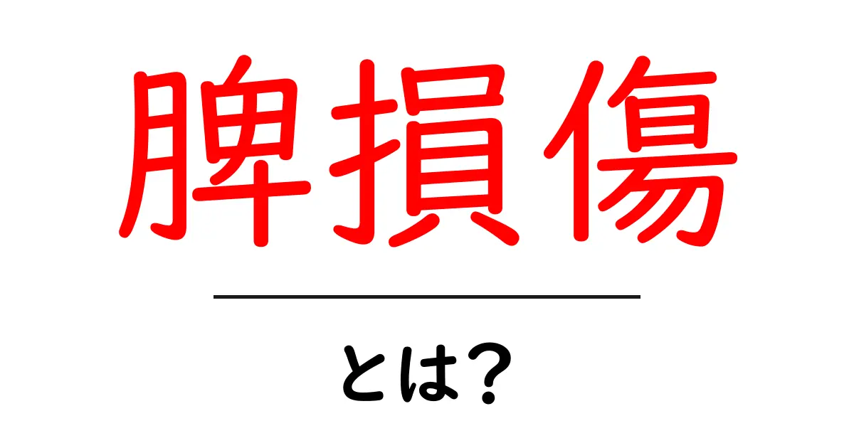 脾損傷とは?原因・症状・治療を徹底解説共起語・同意語・対義語も併せて解説!