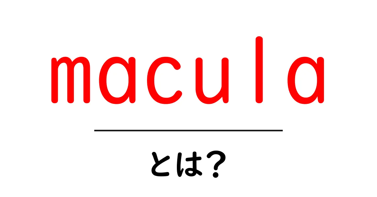 maculaとは?初心者にもわかる意味と役割の解説共起語・同意語・対義語も併せて解説!